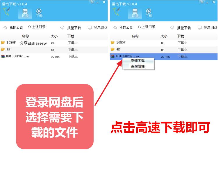 雷鸟下载 3.0.0 百度网盘第三方下载器 无限速-第2张图片-分享迷