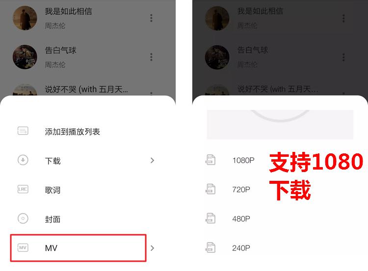 五音助手2.8.6 全网音乐|试听|无损下载|MV下载-第4张图片-分享迷 五音助手2.8.6 全网音乐|试听|无损下载|MV下载-第4张图片-分享迷