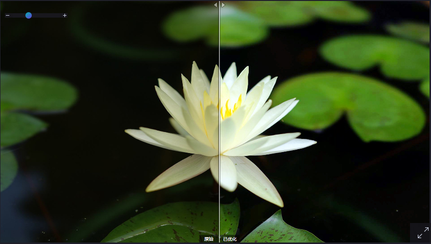 照片一键优化 不会PS没关系 点一下鼠标全搞定！-第2张图片-分享迷