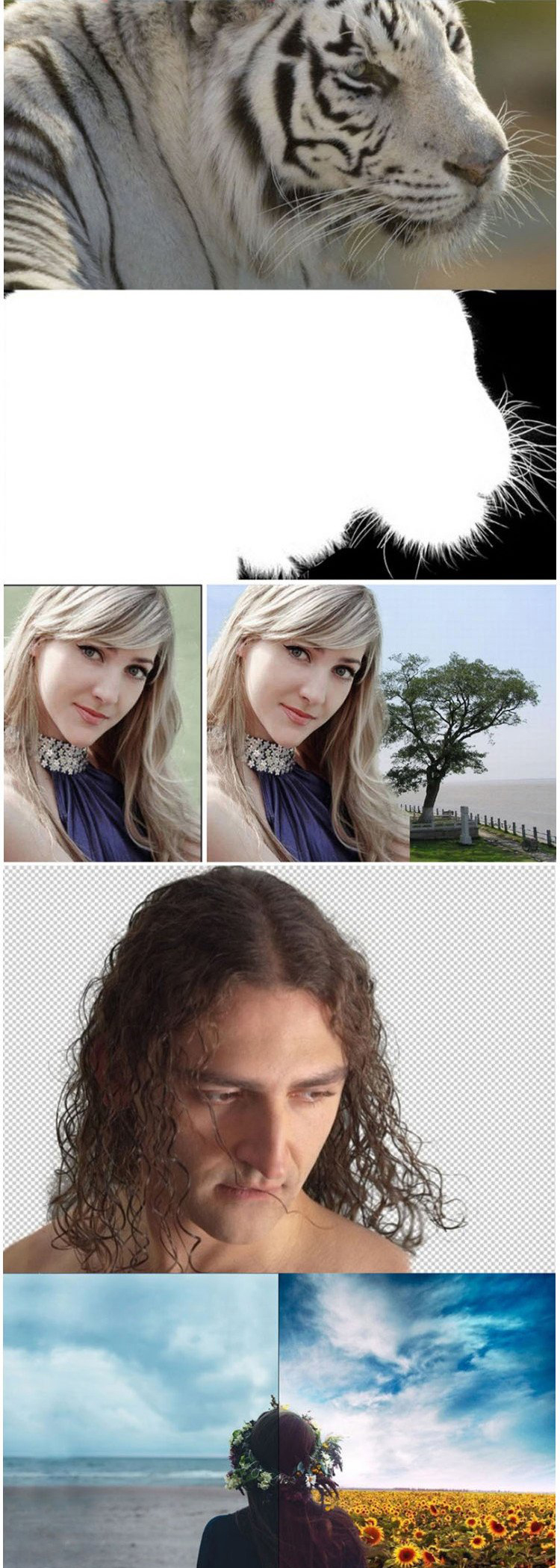 抠图神器Topaz ReMask 5 汉化版(Win/Mac)-第4张图片-分享迷 抠图神器Topaz ReMask 5 汉化版(Win/Mac)-第4张图片-分享迷