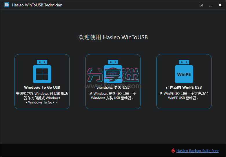 Hasleo_WinToUSB 10.0 技术员版-第1张图片-分享迷