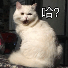 App必须备案,TVbox等小作坊还有出路吗? -第5张图片-分享迷 App必须备案,TVbox等小作坊还有出路吗? -第5张图片-分享迷