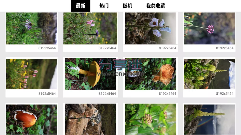 wow电视壁纸 v1.6 2K/4K/8K电视壁纸-第3张图片-分享迷 wow电视壁纸 v1.6 2K/4K/8K电视壁纸-第3张图片-分享迷