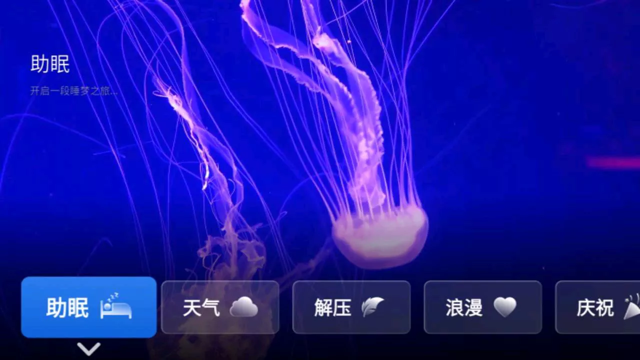 任意窗TV v2.5.1067 动态氛围 沉浸式体验-第1张图片-分享迷 任意窗TV v2.5.1067 动态氛围 沉浸式体验-第1张图片-分享迷