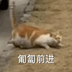 永久下架！又一听歌神器关停… -第3张图片-分享迷