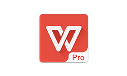 WPS office v11.4.1.6 政务版