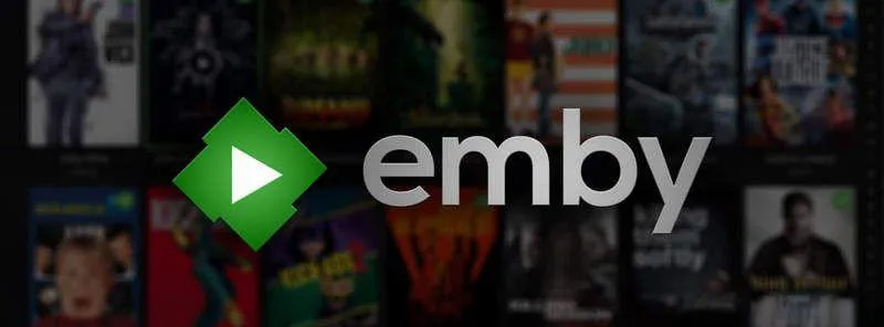 春节必玩TV!支持emby,全端无缝看片 -第6张图片-分享迷  春节必玩TV!支持emby,全端无缝看片 -第6张图片-分享迷