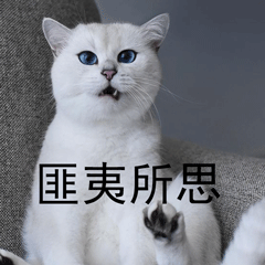 今天是世界电视日!所有三方直播全部停用! -第7张图片-分享迷 今天是世界电视日!所有三方直播全部停用! -第7张图片-分享迷