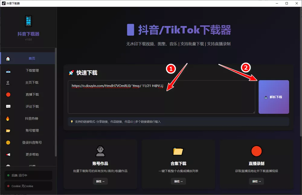 抖音/tiktok下载器 支持无水印-第2张图片-分享迷 抖音/tiktok下载器 支持无水印-第2张图片-分享迷