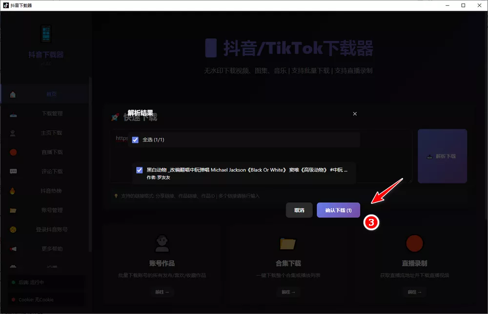 抖音/tiktok下载器 支持无水印-第3张图片-分享迷 抖音/tiktok下载器 支持无水印-第3张图片-分享迷