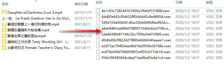 SecureVault Player v0.8.9 老司机专用播放器-第2张图片-分享迷 SecureVault Player v0.8.9 老司机专用播放器-第2张图片-分享迷