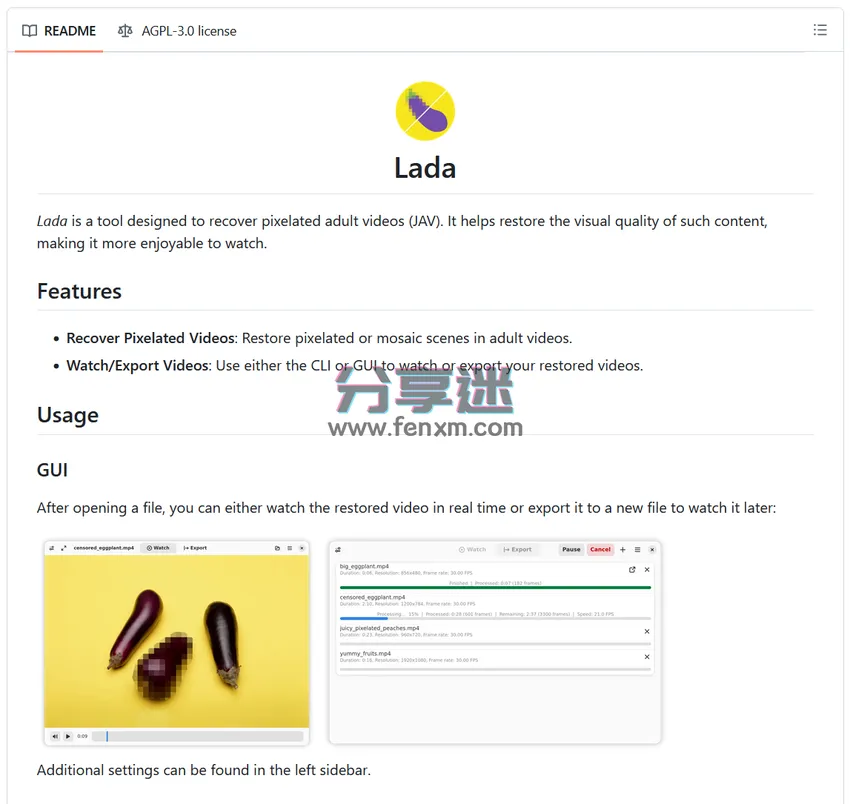 Lada v0.11.0 视频马赛克去除工具-第5张图片-分享迷 Lada v0.11.0 视频马赛克去除工具-第5张图片-分享迷
